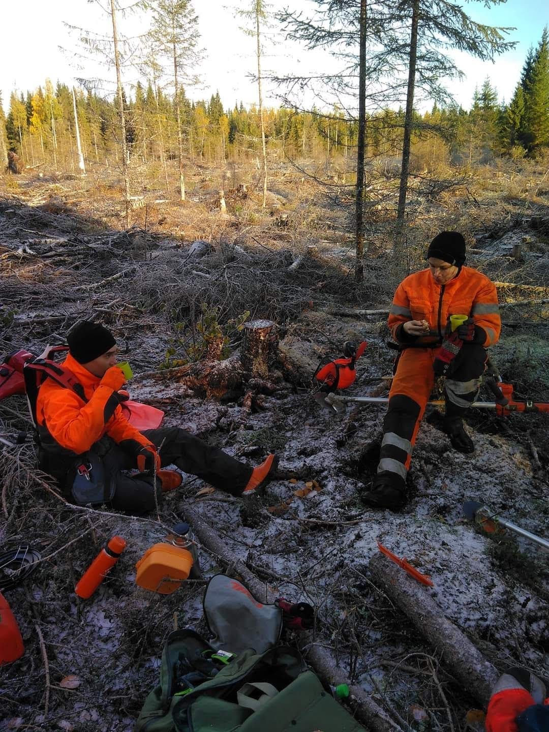 Kahvitauko raivaustöiden keskellä syksyisellä uudistusalalla